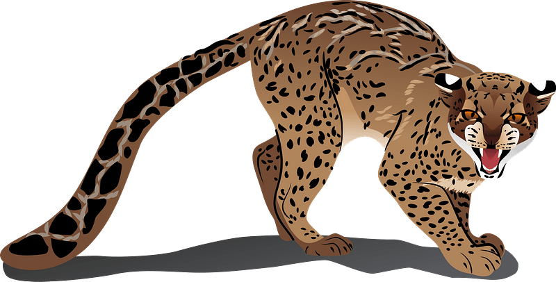 Marbled Cat 클립 아트