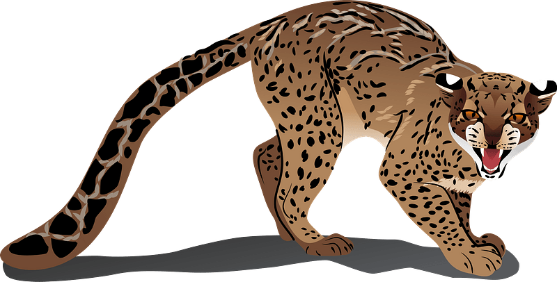 Marbled Cat clipart