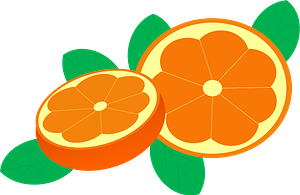 Orange clipart. Free download transparent .PNG | Creazilla