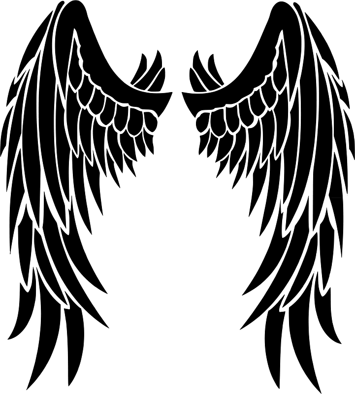 Black wings clipart. Free download transparent .PNG Creazilla