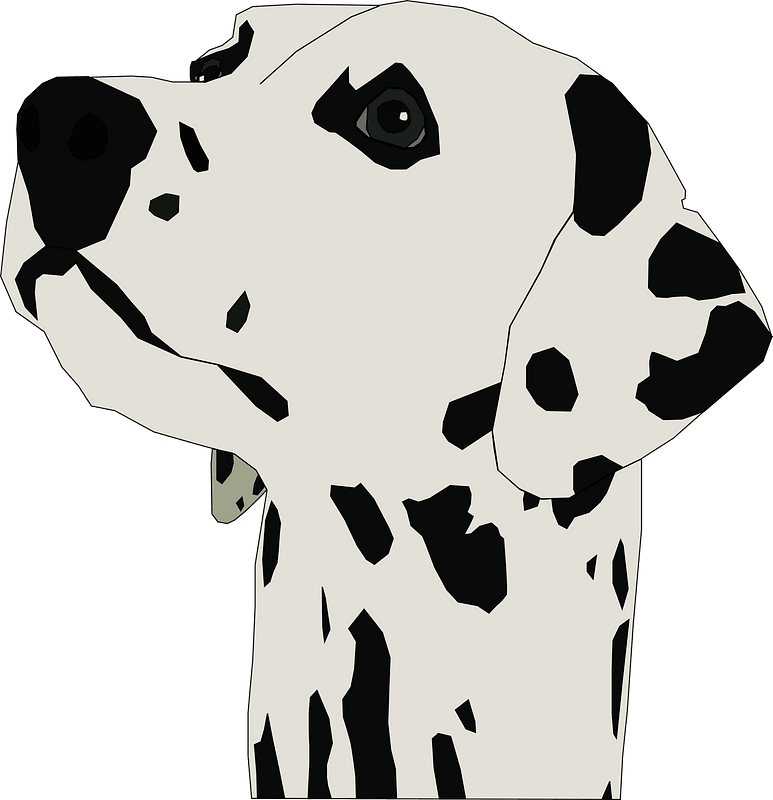 Dalmatian Dog clipart. Free download transparent .PNG Creazilla