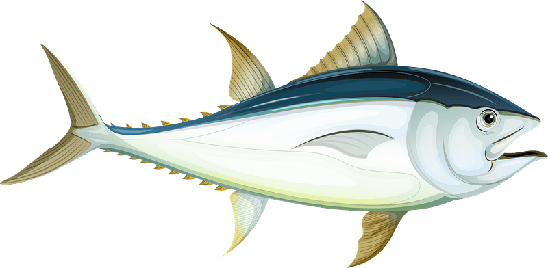 Tuna clipart