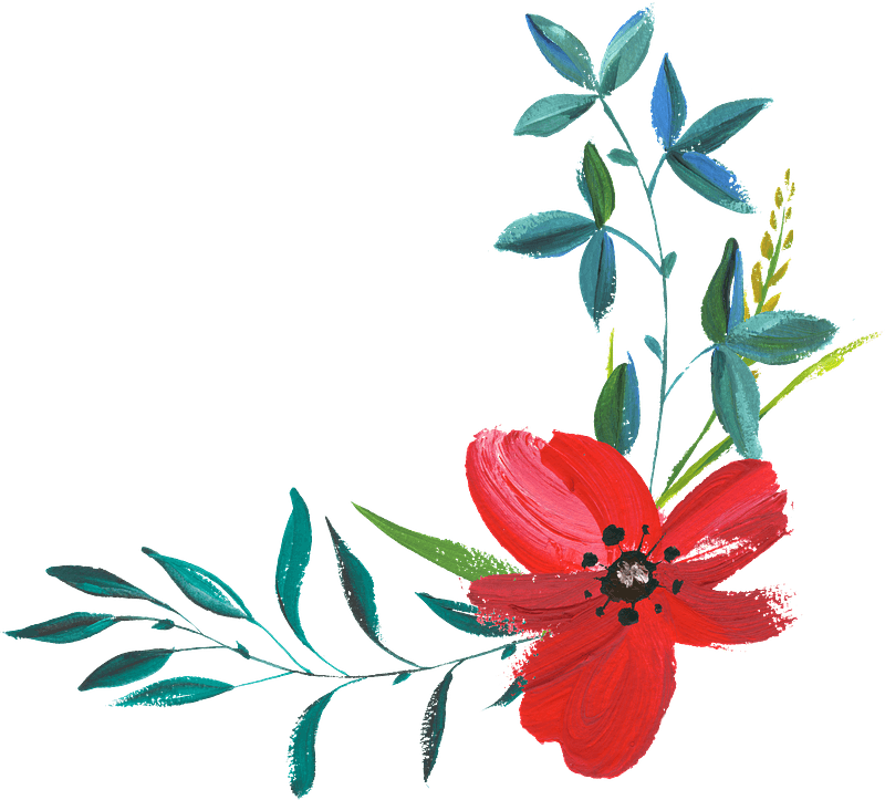 Drawn flowers clipart. Free download transparent .PNG Creazilla