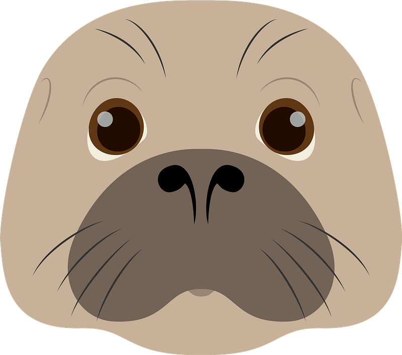Seal face clipart. Free download transparent .PNG Creazilla