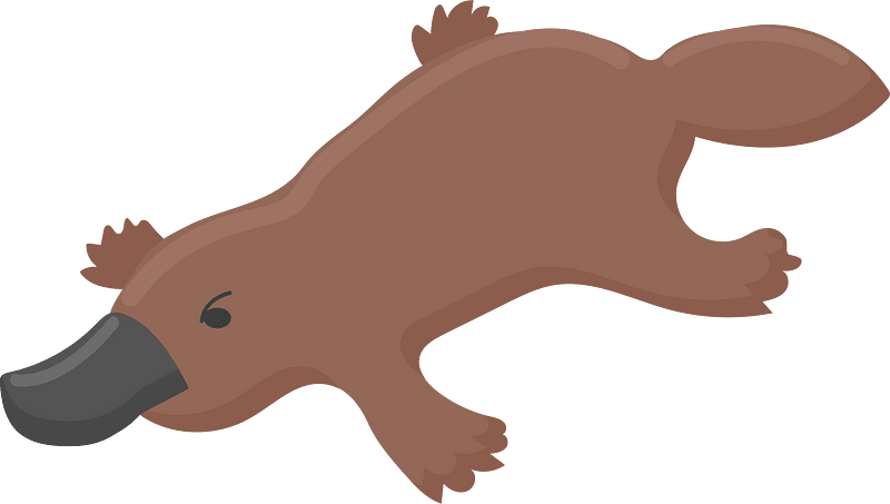 Platypus clipart