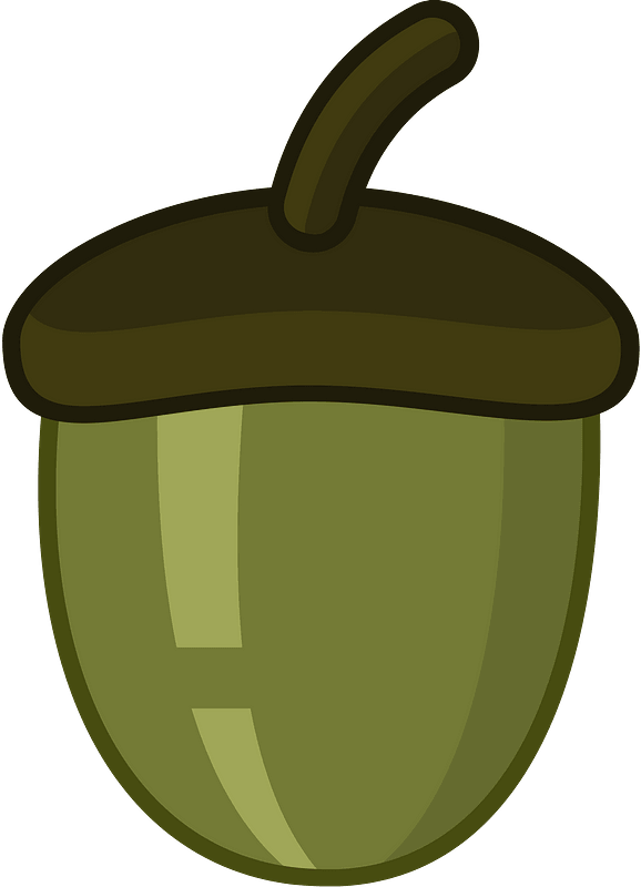 Acorn clipart