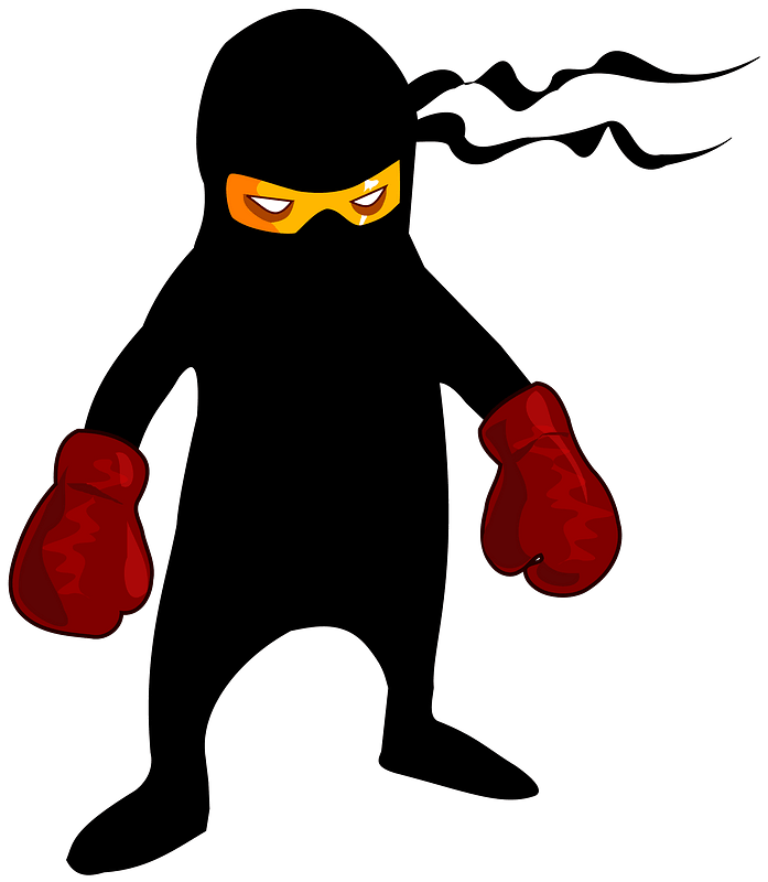 Boxer Ninja clipart