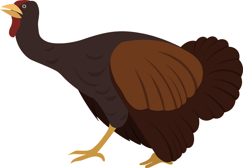 Turkey clipart. Free download transparent .PNG | Creazilla
