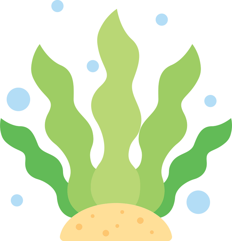 Algae clipart. Free download transparent .PNG Creazilla