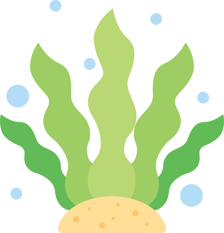 Algae clipart