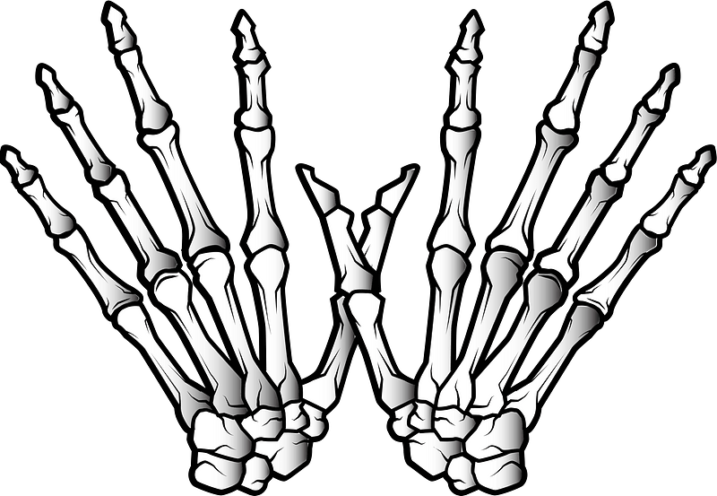 Skeleton hands