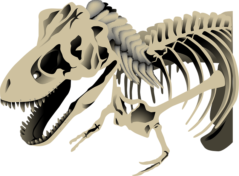 Tyrannosaurus Dinosaur Bone clipart. Free download transparent .PNG