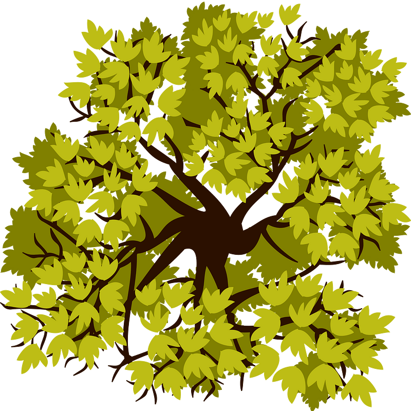 Tree clipart. Free download transparent .PNG Creazilla