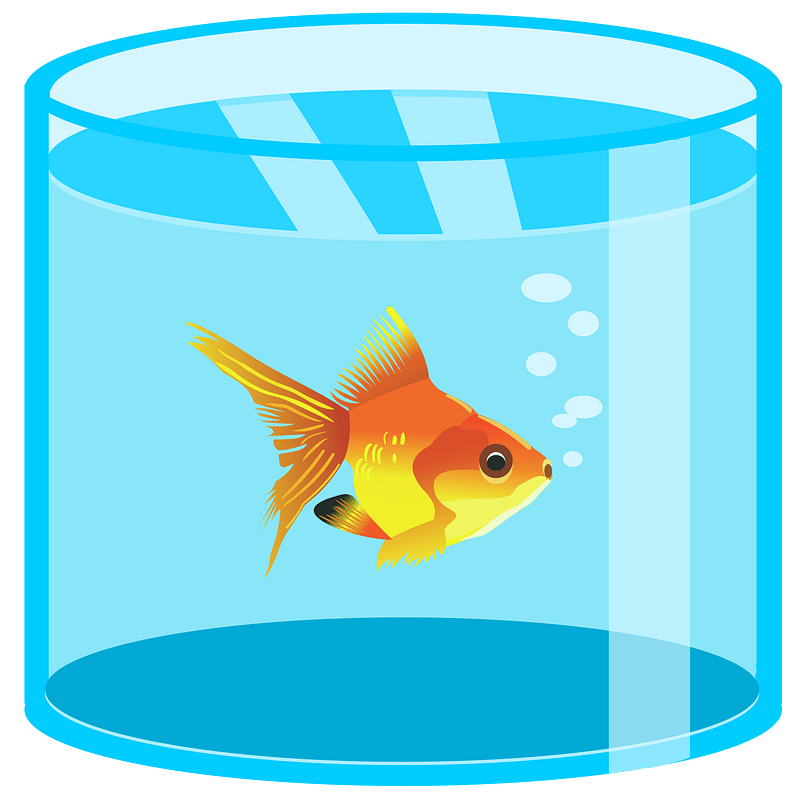 Aquarium with golden fish clipart. Free download transparent .PNG