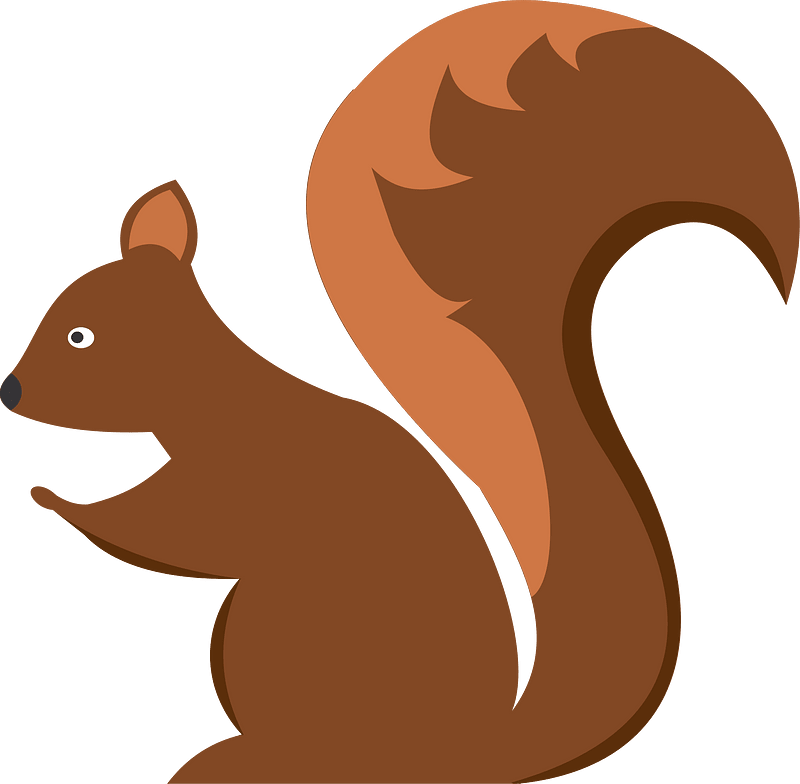 Squirrel clipart. Free download transparent .PNG Creazilla