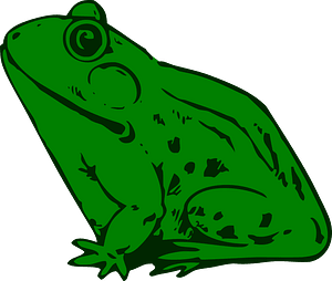 Frog - Free vector clipart images on creazilla.com