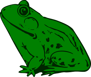 Frosch clipart