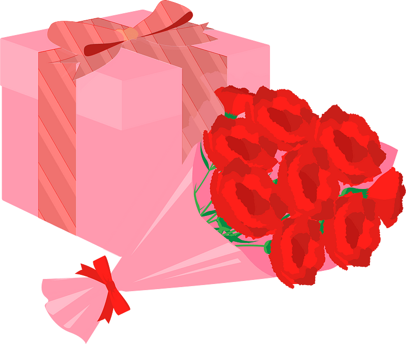 Carnation clipart. Free download transparent .PNG Creazilla