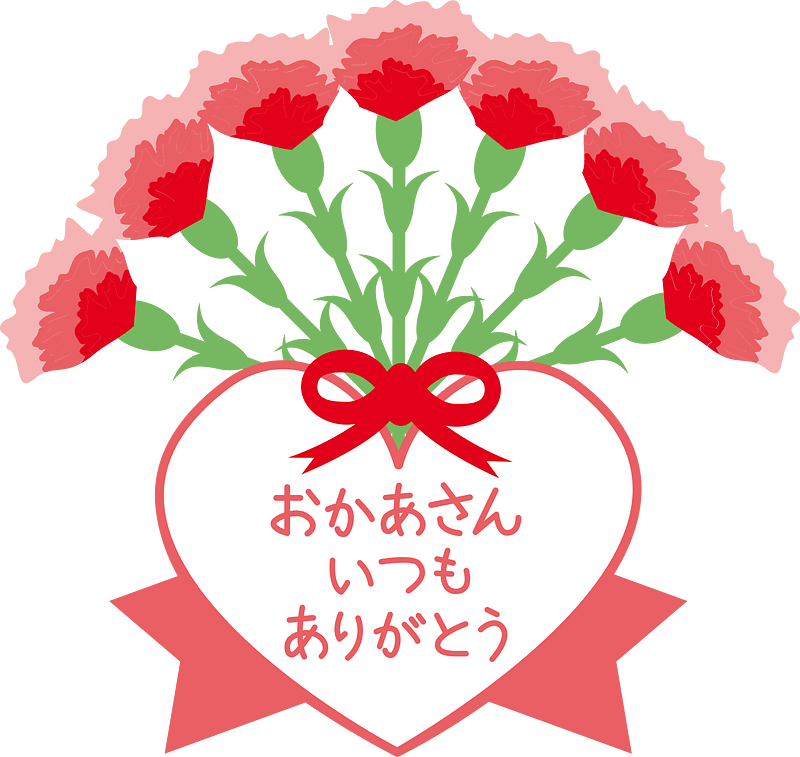 Carnation clipart. Free download transparent .PNG Creazilla