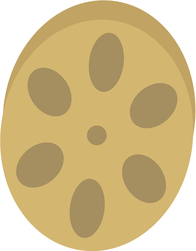 Cut lotus root clipart. Free download transparent .PNG Creazilla