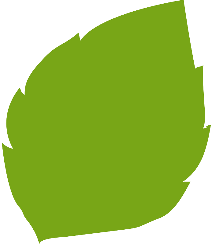 Green leaf clipart. Free download transparent .PNG Creazilla