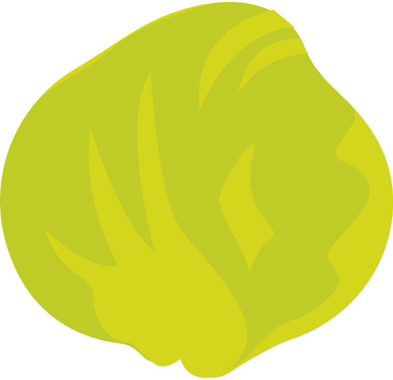 Lettuce clipart. Free download transparent .PNG Creazilla