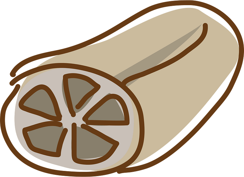 Lotus root clipart. Free download transparent .PNG Creazilla