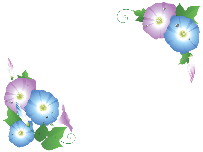 Morning glory frame clipart. Free download transparent .PNG Creazilla