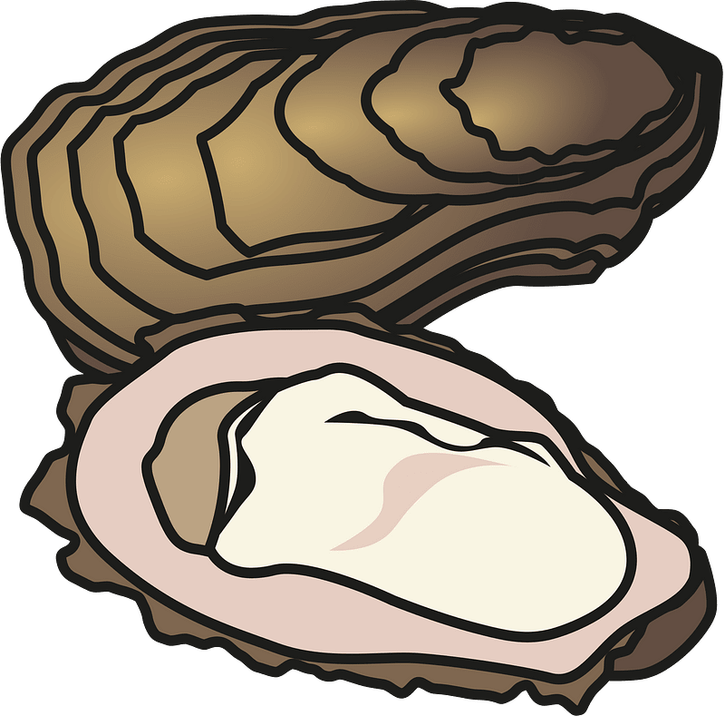 Oyster shellfish clipart. Free download transparent .PNG Creazilla