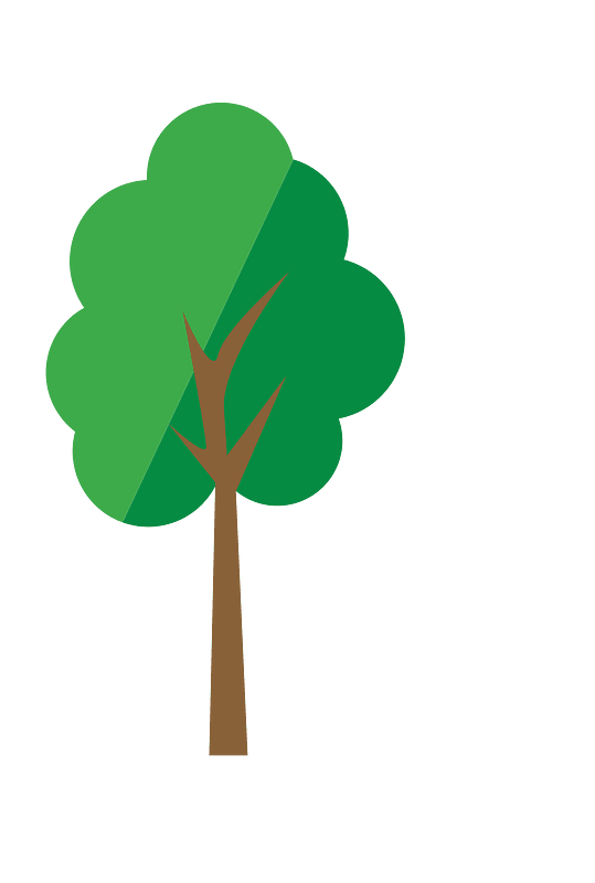 Park tree clipart. Free download transparent .PNG Creazilla