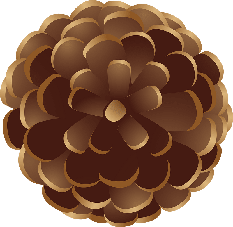 Pine cone clipart. Free download transparent .PNG Creazilla