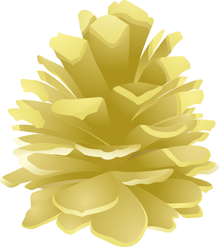 Pine cone clipart. Free download transparent .PNG Creazilla