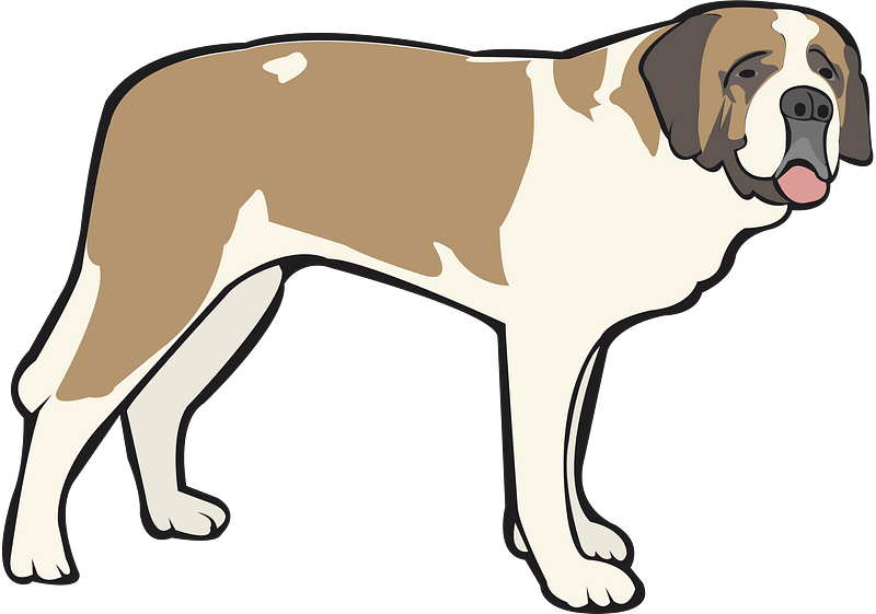 St. bernard clipart. Free download transparent .PNG Creazilla
