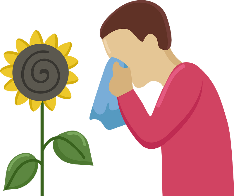 Allergy clipart. Free download transparent .PNG Creazilla