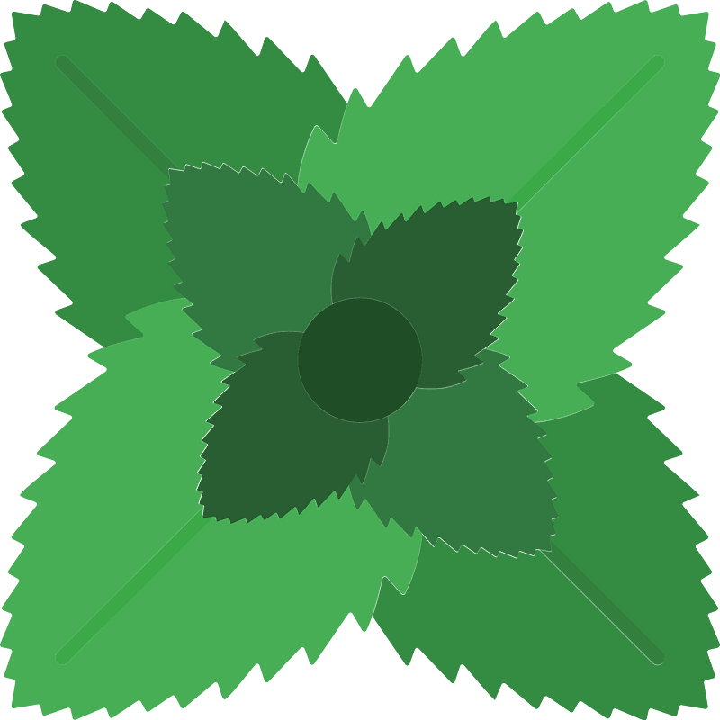 Peppermint clipart