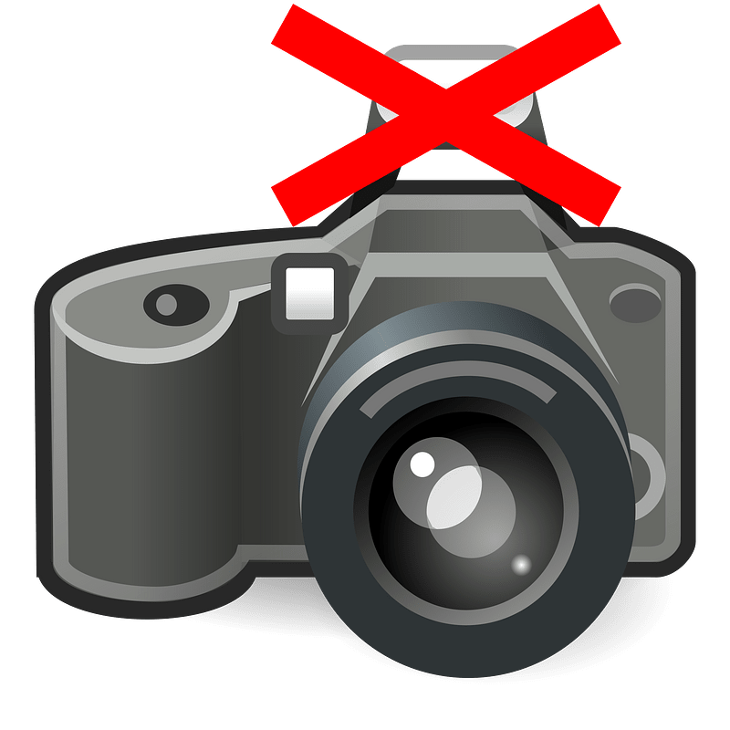 Cameraphotonoflash clipart. Free download transparent .PNG Creazilla