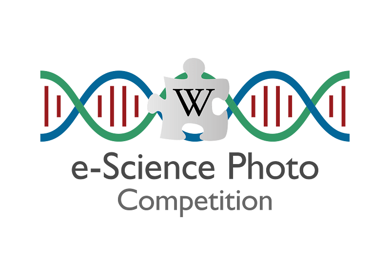 E science. Века слайд каталог что это. Электронное обучение. Enabling. Запуск задачи на грид системем.