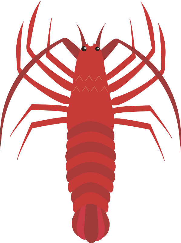 Japanese spiny lobster clipart. Free download transparent .PNG Creazilla