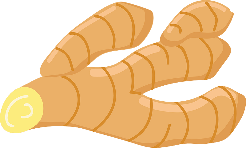 Ginger clipart