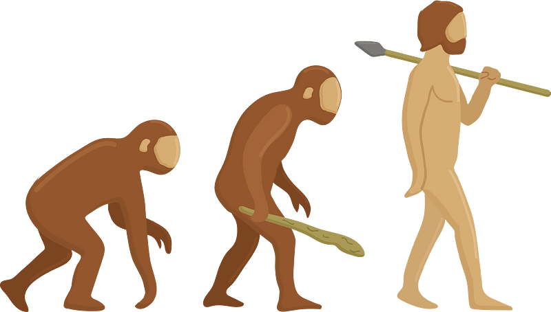 Menselijke evolutie clipart