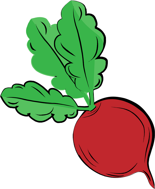 Radish clipart. Free download transparent .PNG Creazilla