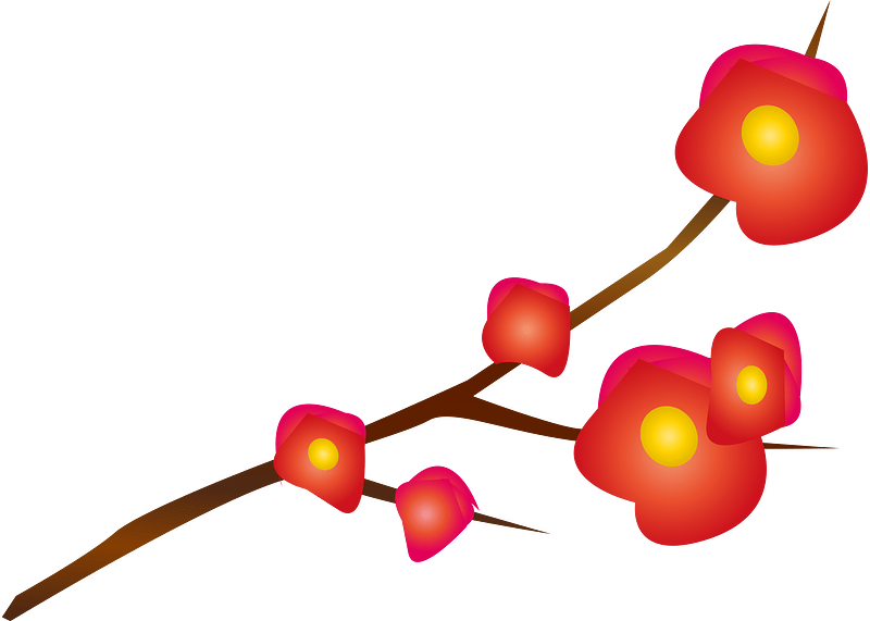apricot blossom clipart. Free download transparent .PNG Creazilla