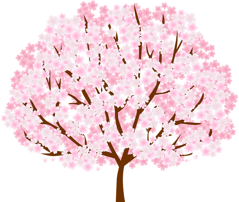 Cherry Tree clipart. Free download transparent .PNG Creazilla
