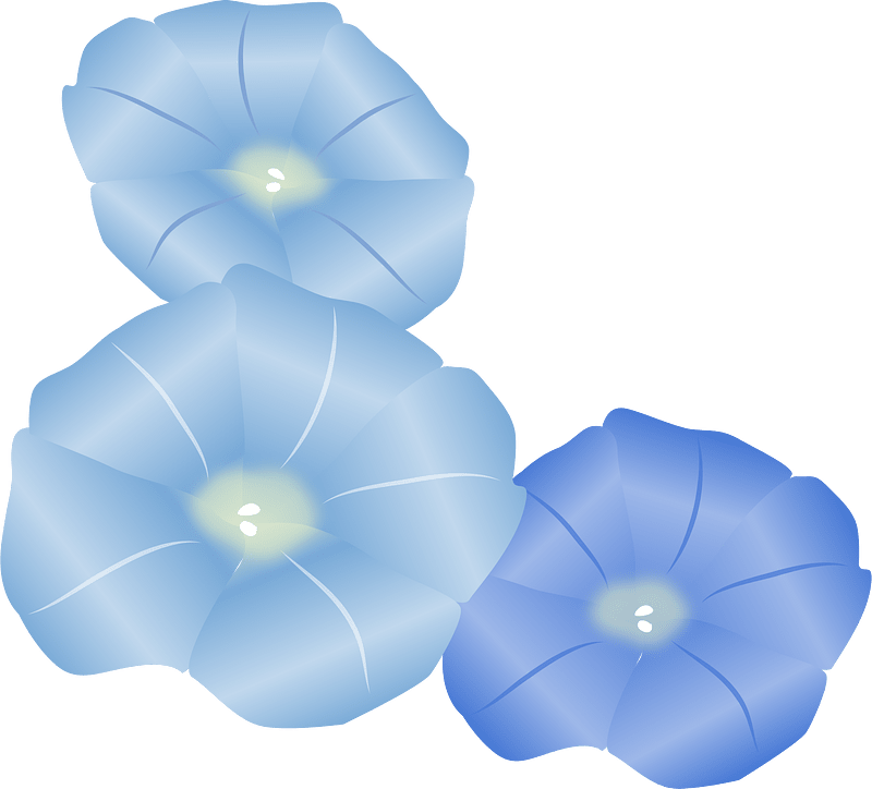 Morning glory flowers clipart. Free download transparent .PNG Creazilla