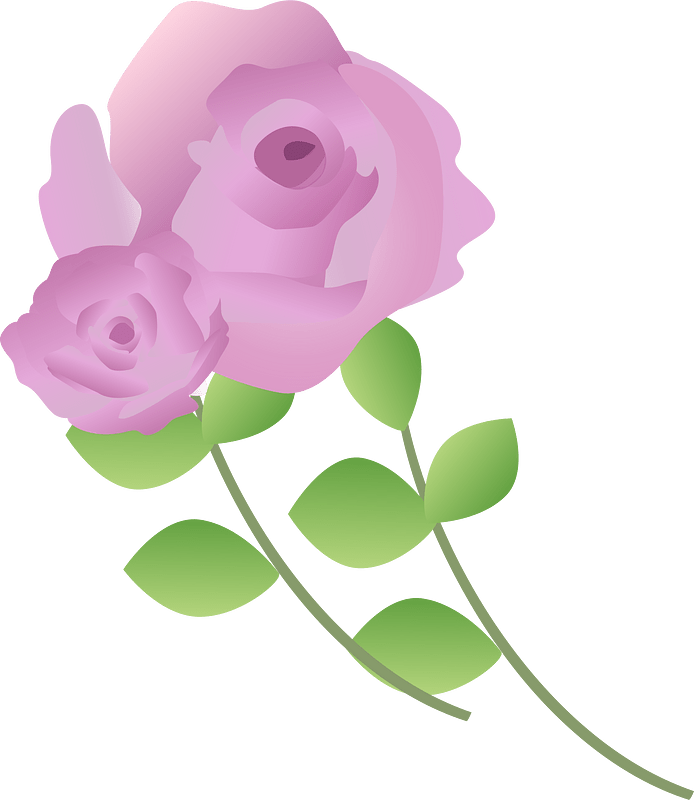 Rose clipart. Free download transparent .PNG Creazilla
