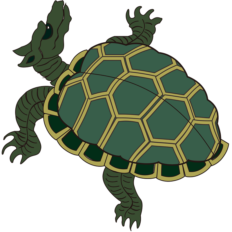 Turtle clipart. Free download transparent .PNG Creazilla