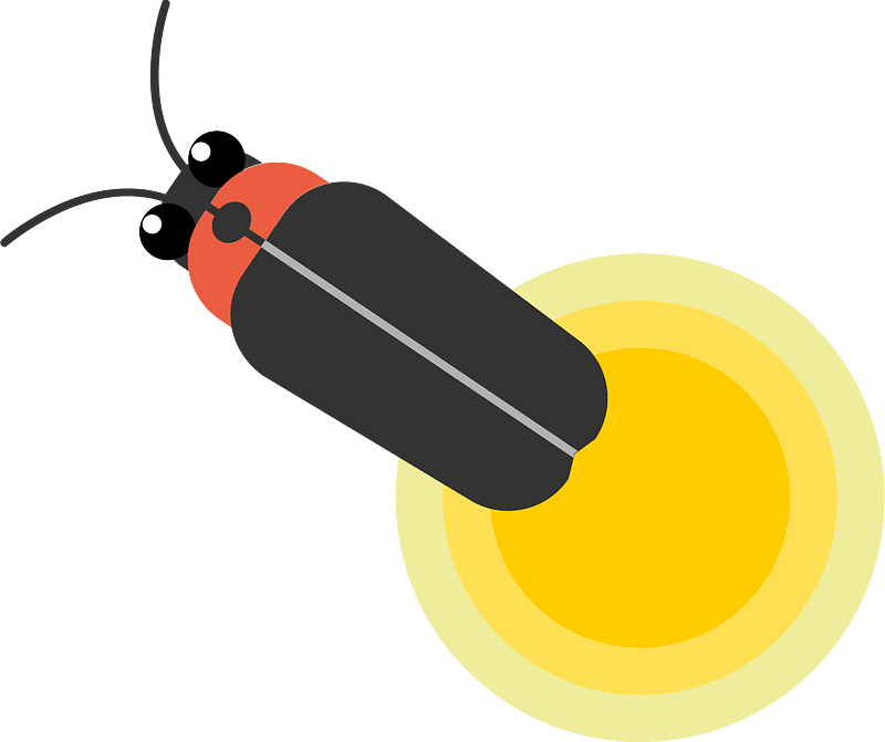 Firefly grass insect clipart. Free download transparent .PNG Creazilla
