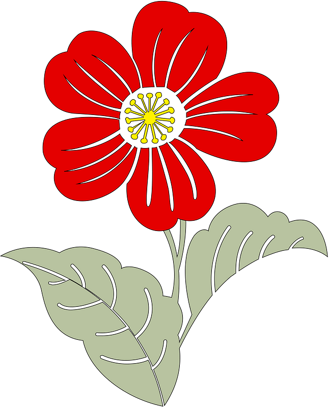 Flower clipart. Free download transparent .PNG Creazilla