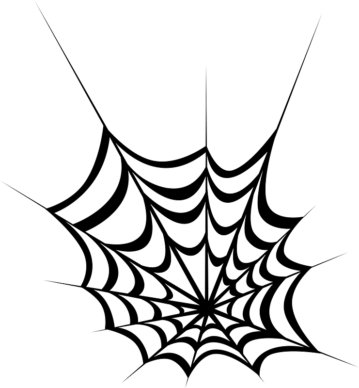 Spider web clipart. Free download transparent .PNG | Creazilla