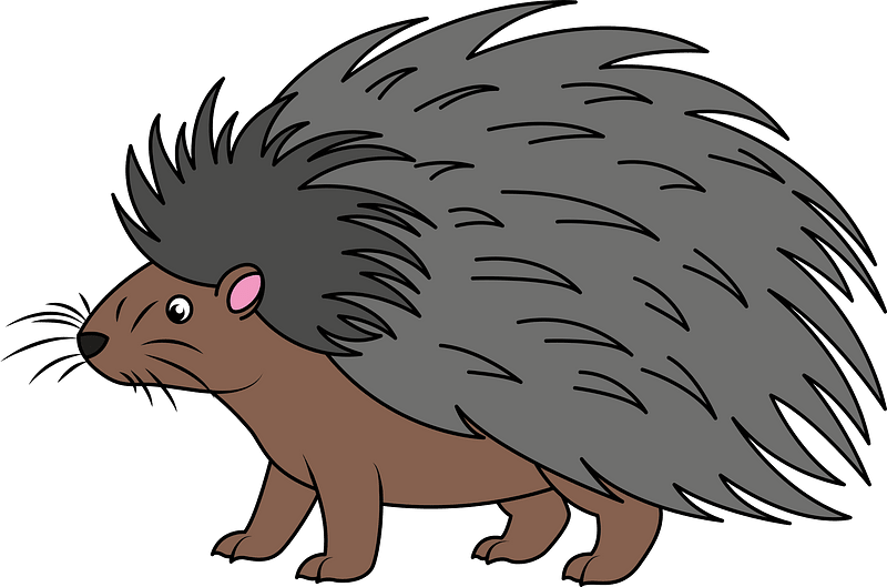 Porcupine clipart. Free download transparent .PNG Creazilla
